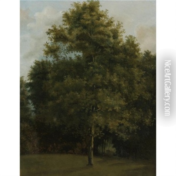 A Tree (study) Oil Painting - Jules Coignet