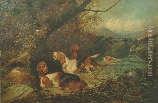 Otterhounds On The Scent Oil Painting - Colin Graeme Roe