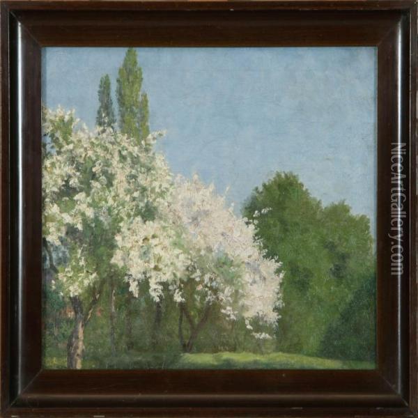 Sommer Scenery With Blooming Fruit Trees Oil Painting - Marie Luplau