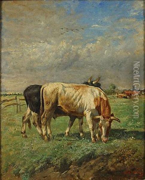 Twee Stieren Oil Painting - Alfred Jacques Verwee