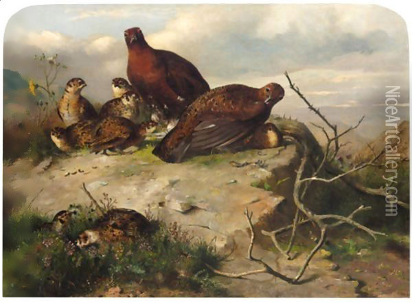 A Pair Of Red Grouse And Chicks Oil Painting - John Clement Bell