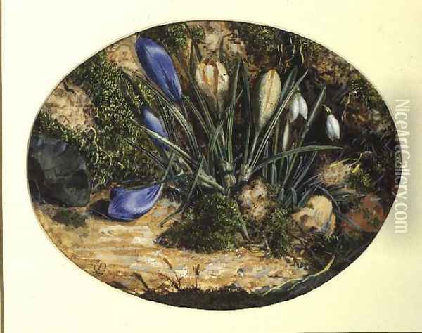 Crocuses and Snowdrops Oil Painting - John Sherrin