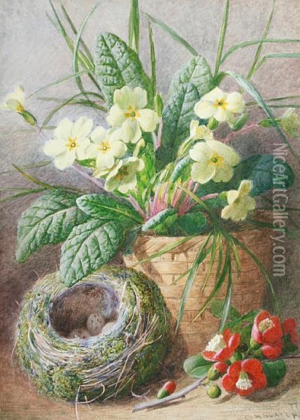 Primroses In A Vase Beside A Bird's Nest;roses In A Vase Oil Painting - Charles Henry Slater
