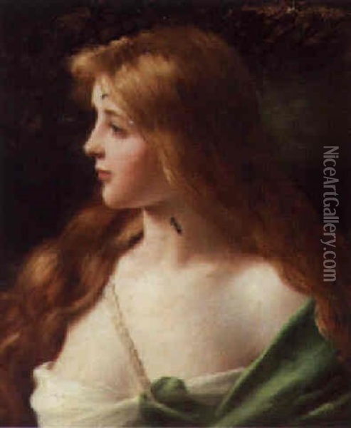 Portrait Of A Young Beauty, Bust Length Oil Painting - Jules Frederic Ballavoine