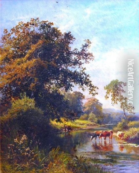 Cattle Watering In A Wooded Stream Oil Painting - Walter Wallor Caffyn