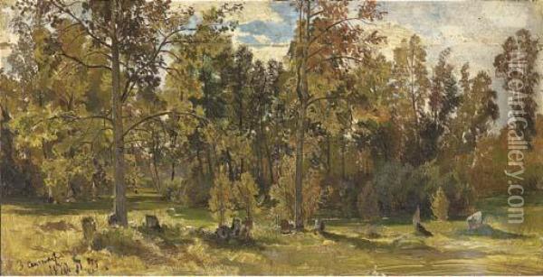 Study Of A Woodland Glade In Summer Oil Painting - Ivan Shishkin