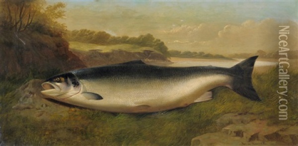 Still Life Of A Prize Salmon On A Riverbank Oil Painting - John Bucknell Russell