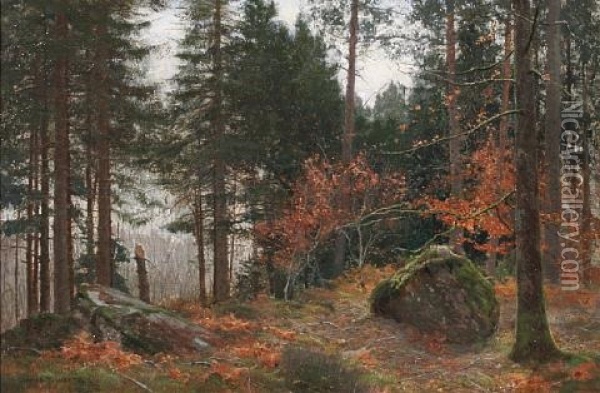 A Pine Wood In Winter Oil Painting - James Thomas Watts