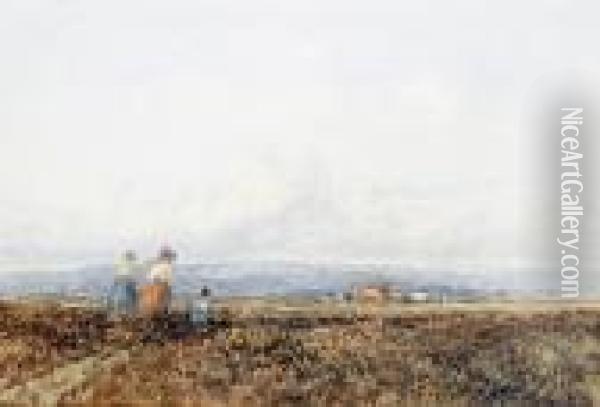 Vale Of Clwyd Oil Painting - David I Cox