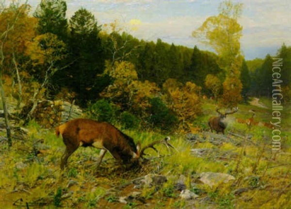 Hirschbrunft Auf Einer Waldlichtung Oil Painting - Christian (Johann Christian) Kroener