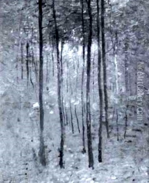 Autumn Forest Interior Oil Painting - Emil Carlsen