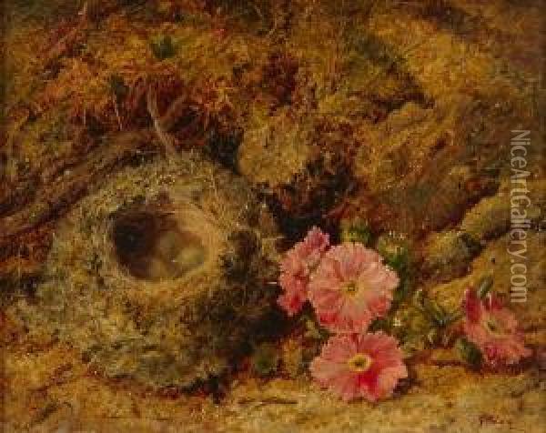 A Still Life With Flowers And Bird's Nest Oil Painting - Oliver Clare