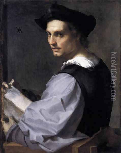 Portrait of a Young Man 1517 Oil Painting - Andrea Del Sarto