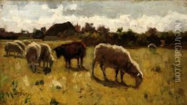 Grazing Sheep Oil Painting - Willem II Steelink