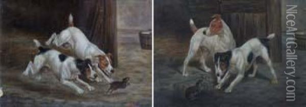 Terriers Ratting Oil Painting - G Earle