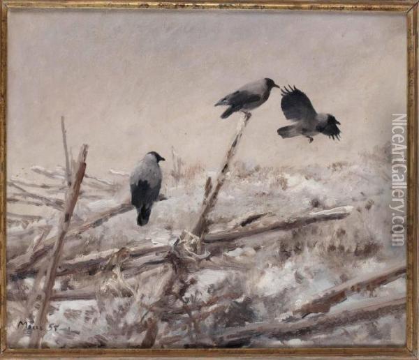 Vinterlandskap Med Krakor Pa Gardesgard Oil Painting - Mosse Stoopendaal