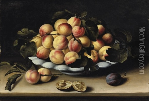 Coupe D'abricots, Peches Et Prunes Sur Un Entablement Oil Painting - Louise Moillon