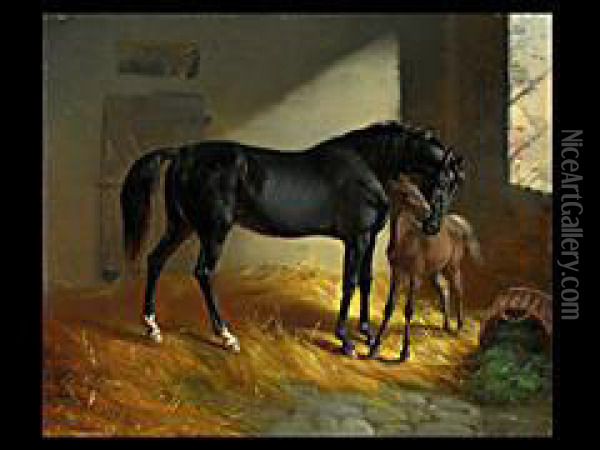 Pferd Und Fohlen In Der Stallung Balz Oil Painting - Benno Adam