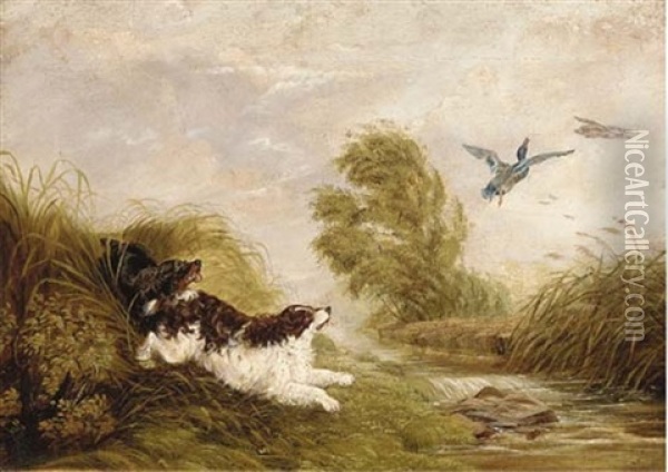 Spaniels Flushing Out Ducks Oil Painting - Arthur Batt