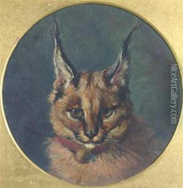 Young Wild Cat Oil Painting - David George Steell