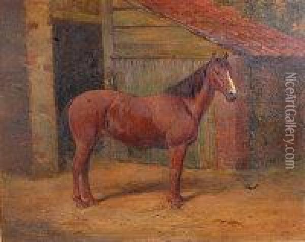 Portrait Of A Bay Horse Oil Painting - Richard Dodd Widdas