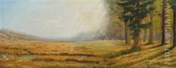 Forest Meadow Oil Painting - Bruce Crane