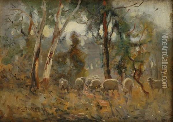 Sheep Grazing Oil Painting - Walter Withers