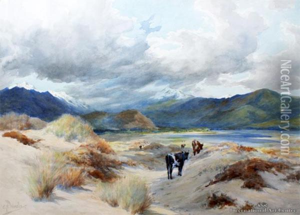 Sands At Pohara, Golden Bay Oil Painting - Charles Nathaniel Worsley