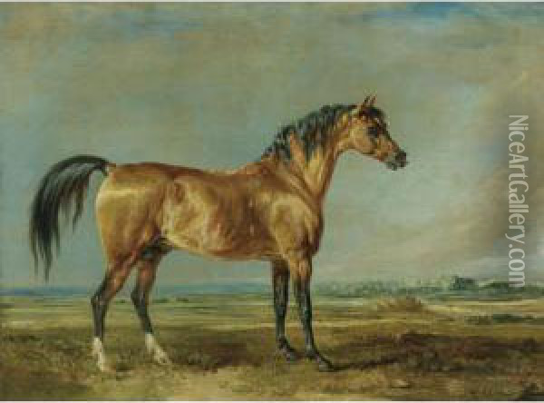 The Marquess Of Londonderry's Arabian Stallion In A Landscape Oil Painting - James Ward