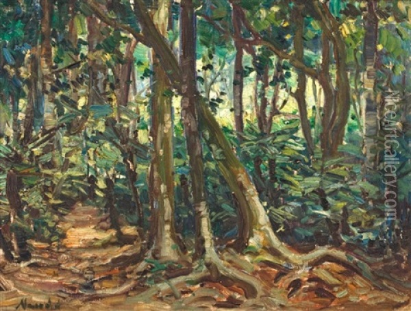 A Dense Forest Oil Painting - Pieter Hugo Naude
