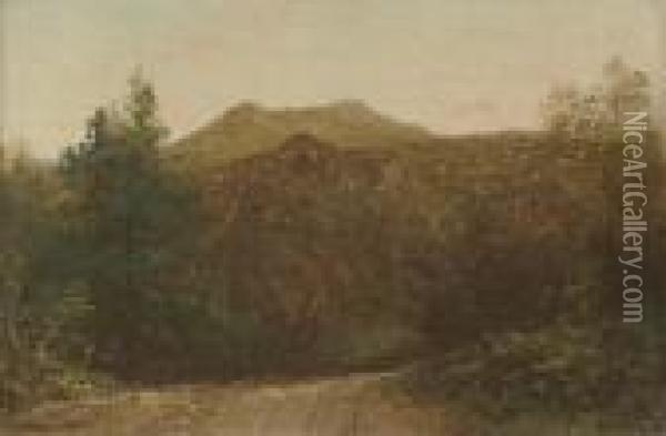 Franconia Notch, New Hampshire Oil Painting - David Johnson