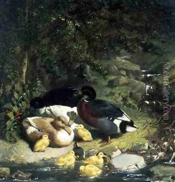 Ducks and Ducklings (2) Oil Painting - John Frederick Herring Snr
