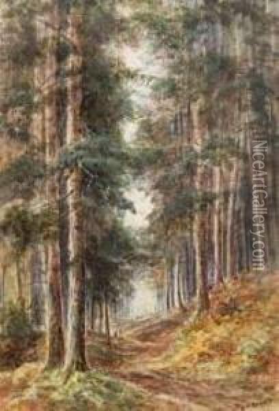 Figures On A Path In A Pine Forest Oil Painting - Walter Duncan