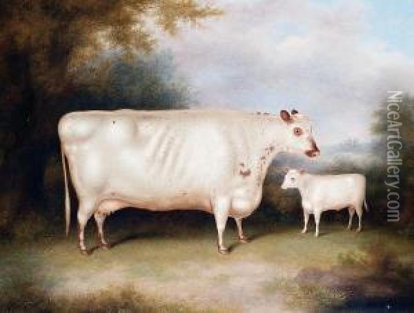 A White Cow And Calf In An Openlandscape Oil Painting - Henry Strafford