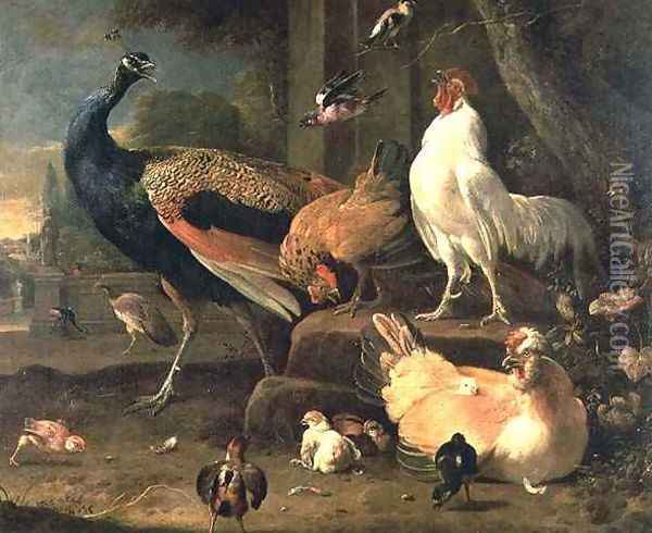 Poultry Oil Painting - Melchior de Hondecoeter