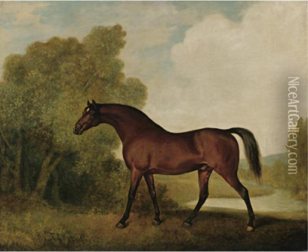 Ambrosio, A Bay Stallion, The Property Of Thomas Haworth Oil Painting - George Stubbs