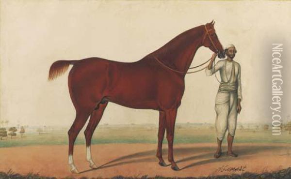 A Horse And Groom Oil Painting - Shaikh Muhammad Amir Of Karraya