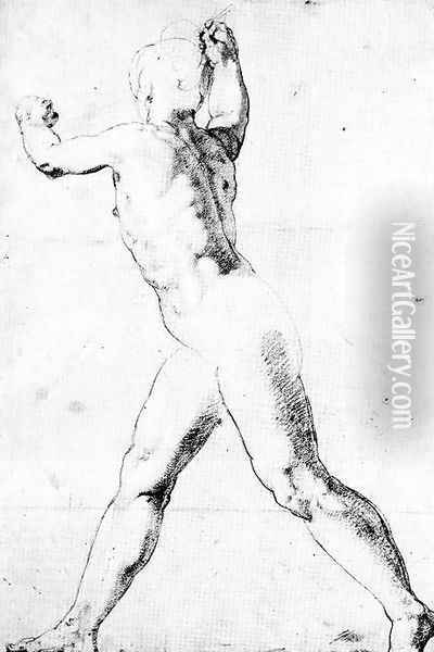 Study of a Male Nude Oil Painting - Taddeo Zuccaro