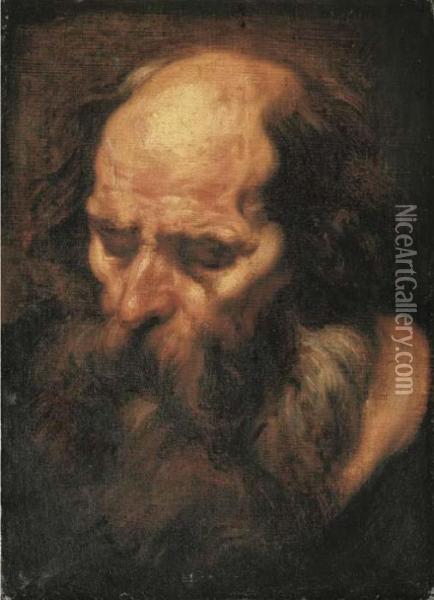 The Head Of A Bearded Man Oil Painting - Jacob Jordaens