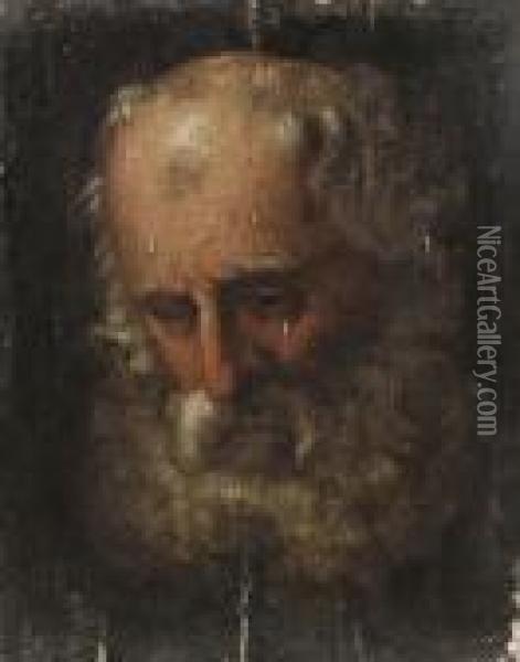 Head Study Of A Bearded Man Oil Painting - Salvator Rosa