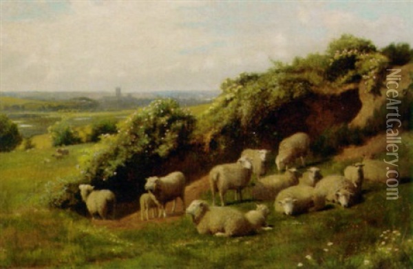 Sheep Resting In A Meadow, Canterbury Beyond Oil Painting - William Sidney Cooper