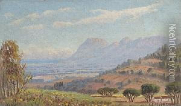 View Of Constantia Oil Painting - Edward Charles Moore