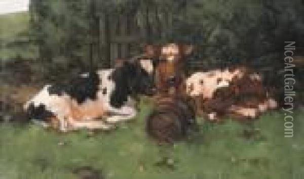 Ayrshire Calves Oil Painting - David Gauld