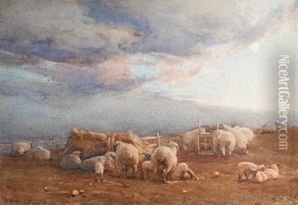 Sheep In A Landscape Oil Painting - Ernest Gabriel Mitchell