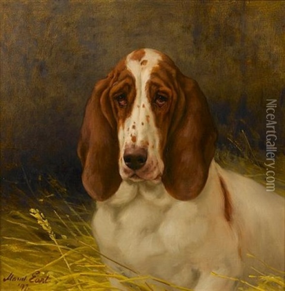 A Basset Hound Oil Painting - Maud Earl