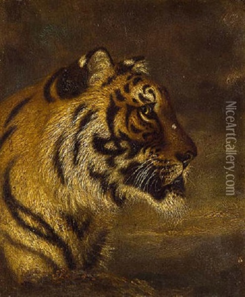 Tigerkopf Oil Painting - Gottlob Heinrich Leutemann