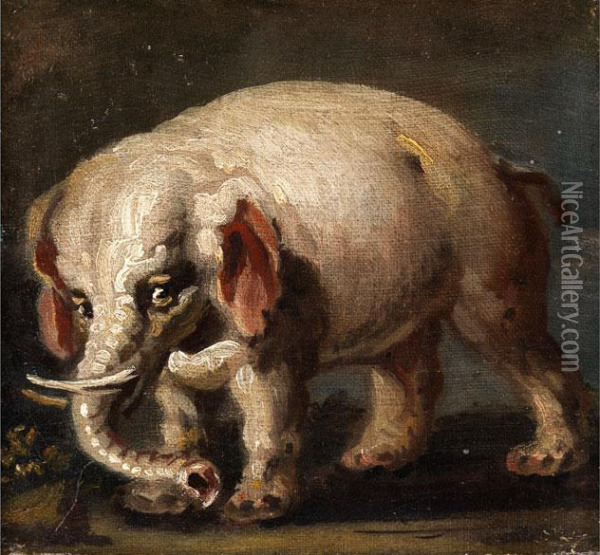 Der Elefant Oil Painting - Giovanni Antonio Guardi