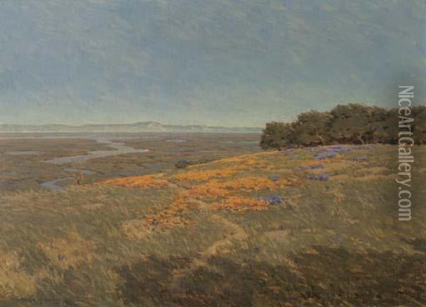 California Landscape With Poppies And Lupine Oil Painting - Granville Redmond