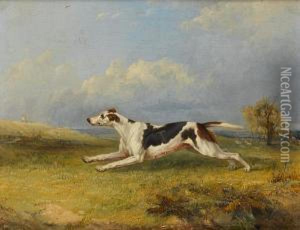 A Hound Running In A Landscape Oil Painting - Charles Hancock
