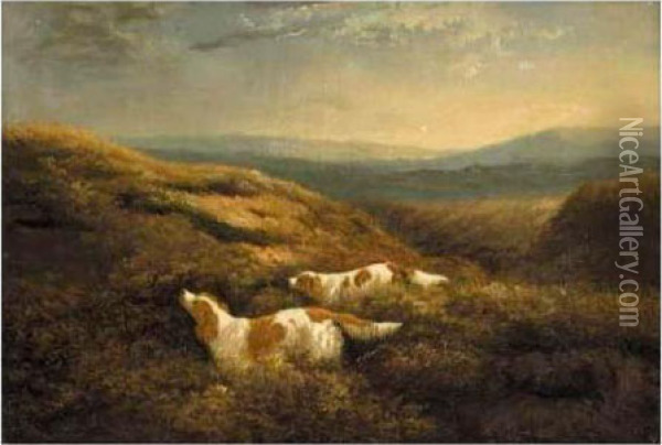 Two Spaniels On The Moors Oil Painting - Philip Reinagle
